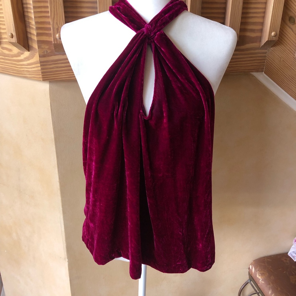 Parker Hot Pink Velvet Halter Tie-Neck Tank Top